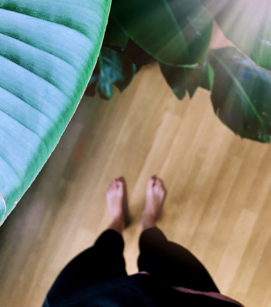 Woman's feet and a plant in a Pilates studio.