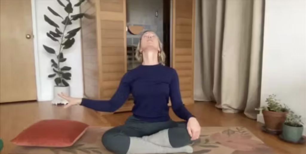 Woman doing Pilates exercises on a yoga mat.