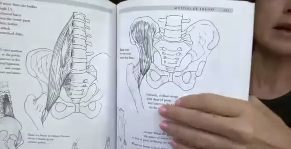 Woman showing a book page of the muscles of the hip.