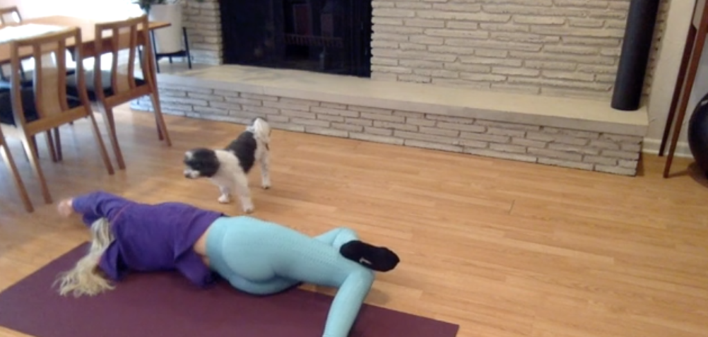 Woman doing Pilates stretches on her side with one leg crossed. There is also a dog in the photo looking at the woman doing Pilates.