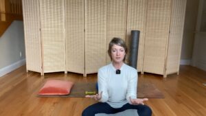 Woman doing Pilates arm exercises sitting on the floor for fitness and strength